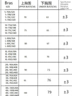 Parisian Nights Embroidered Lace Bralette - French Mesh Set