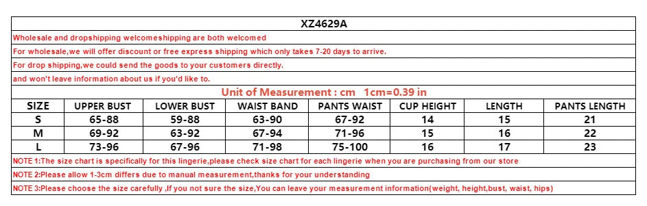 Sweetheart Embroidery Set - 4 Piece Waist Shaping Lingerie