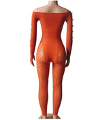 Plus Size Leopard Print Bodysuit - High Waist Slim Mesh Pajama Set