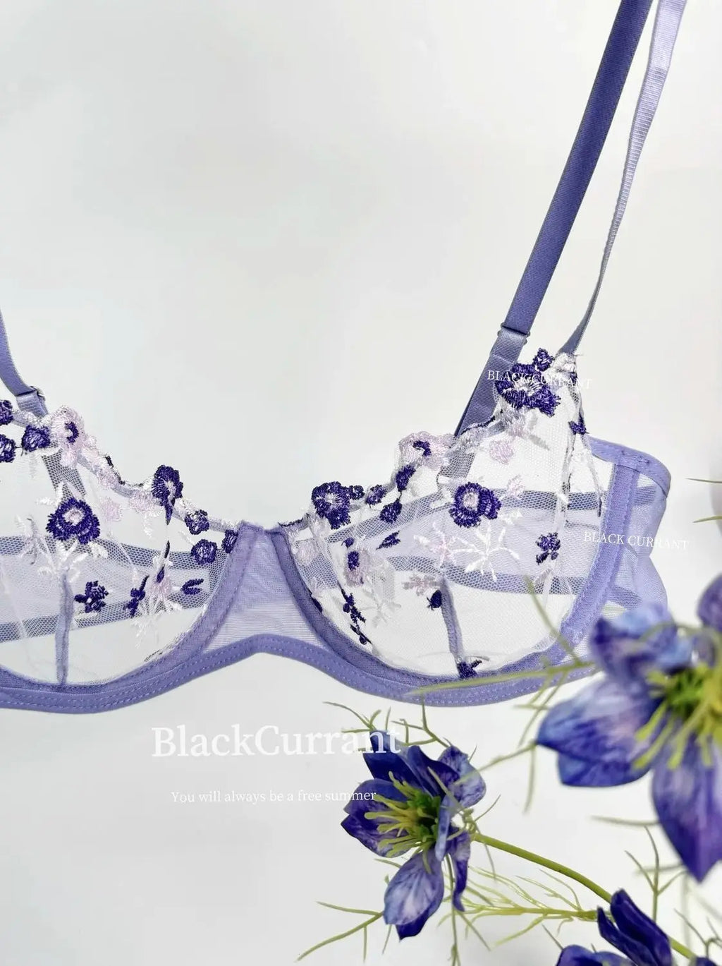 Parisian Nights Embroidered Lace Bralette - French Mesh Set