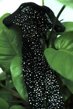 Rhinestone Fishnet Pantyhose - Sparkle Tights
