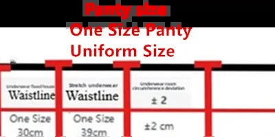 Parisian Nights Embroidered Lace Bralette - French Mesh Set